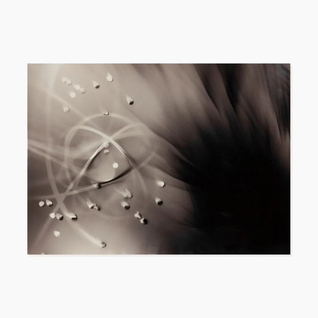 After Marta Hoepffner, Photogram, Untitled